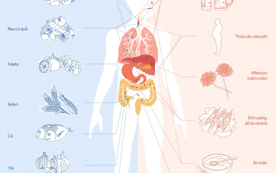 Họa ung thư có thể tránh từ miệng
