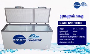 ទូក្លាស្សេឆ្លាតវៃ កកសុទ្ធ - SMART INVERTER