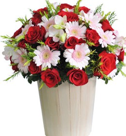 HOA LAN - YÊU ĐỜI