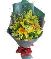 ផ្កាលីលី - ពន្លឺថ្ងៃពេញ