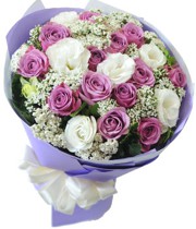 HOA HỒNG - VẪN ĐỢI CHỜ