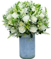 HOA HỒNG - BAN MAI