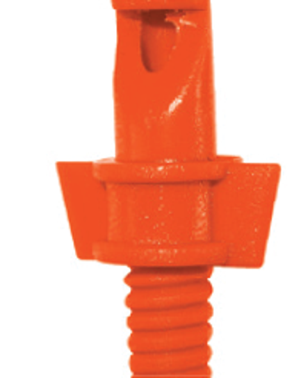 ក្បាលសាចទឹកតូច