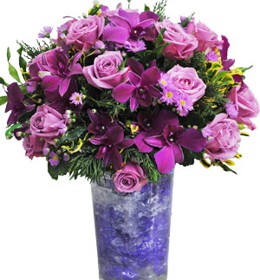 HOA LAN - CÓ MỘT NGÀY