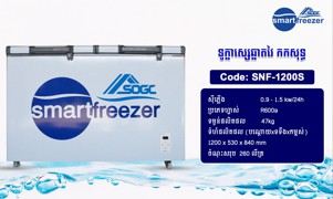 ទូក្លាស្សេឆ្លាតវៃ កកសុទ្ធ - SMARTFREEZER