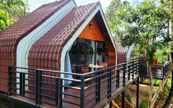 ដាតូចរីស៊ត