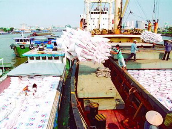 Dịch vụ phân phối hàng hóa nội địa