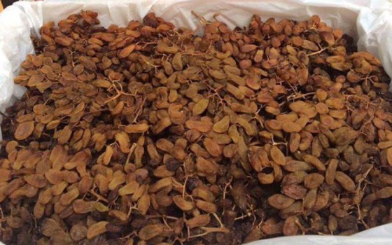 Mứt Tết nhập khẩu lũ lượt về theo đường xách tay