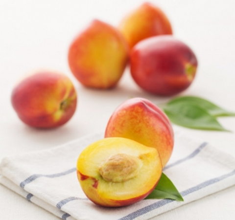 Xuân Đào Vàng Úc