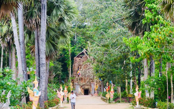  ប្រាសាទព្រៃ​ដើម​ស្រុក ឬ​ប្រាសាទព្រះធាតុ​រាជ ​ខេត្តព្រៃវែង