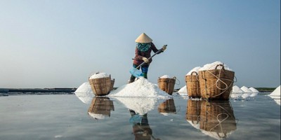 Sự Khó nhọc của nghề làm muối 