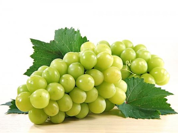 Ăn vỏ trái cây ngừa ung thư và nhiều bệnh