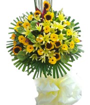 ផ្កាលីលី - ឧត្តមដួងចិត្ត ២