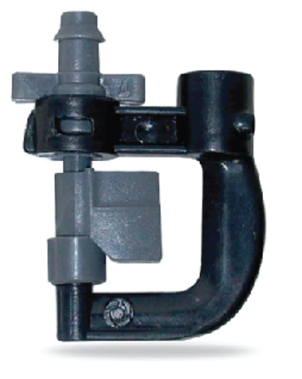  ក្បាលសាចទឹកតូច