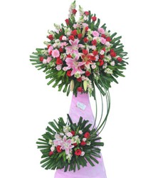 HOA LY - BỀN VỮNG 1