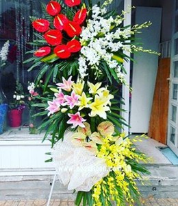 Vươn Tầm Cao Mới