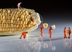 ការពិតអំពី 'អាហារទំនើប' ដែលប្រឆាំងនឹងជំងឺមហារីក