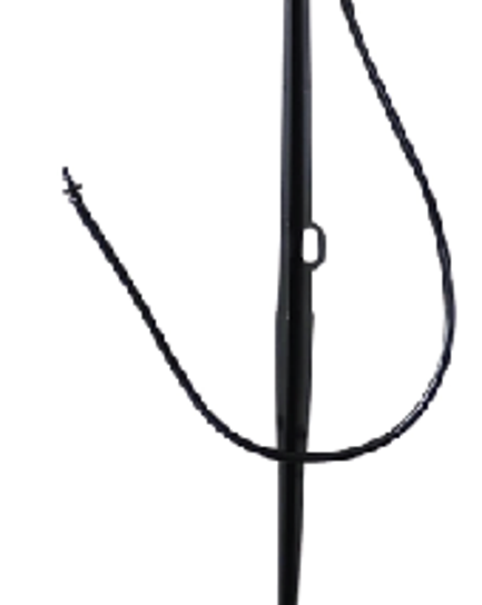  បង្គោលទ្រ