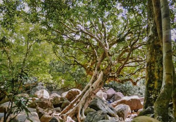 ទឹកធ្លាក់អន្លង់​ខៀវ