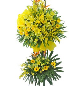 HOA ĐỒNG TIỀN - SUCCESS TOGETHER