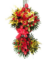 HOA LY - PHẤN KHỞI