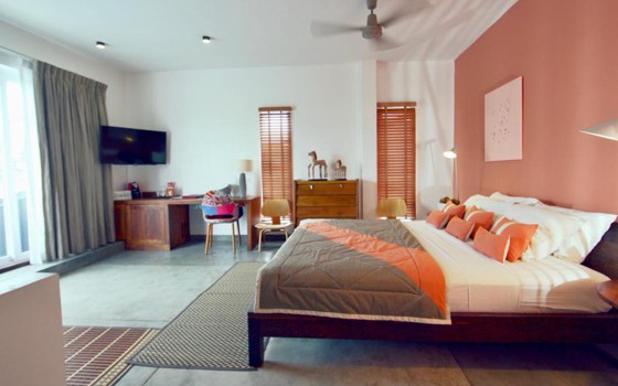 Rambutan រីសត​ រាជធានីភ្នំពេញ