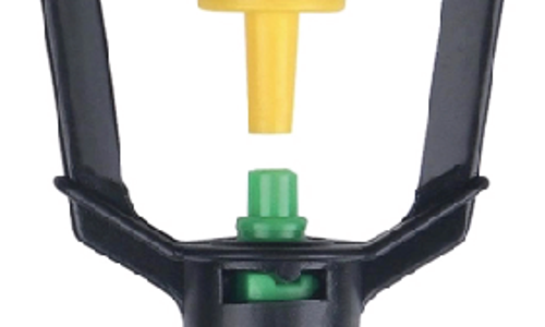 ក្បាលសាចទឹកតូច