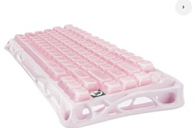 GravaStar 重力星球 破茧 K1 罗斯粉