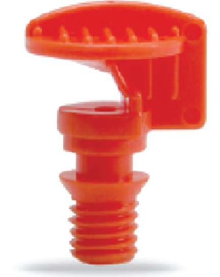 ក្បាលសាចទឹកតូច