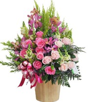 HOA LAN - VÒNG TAY YÊU THƯƠNG