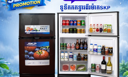 ទូទឹកកក SKP T6120TDG