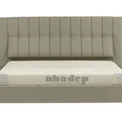 គ្រែមនុស្សពេញវ័យ # 10