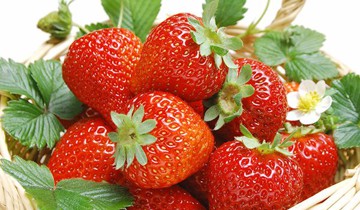 Nhận biết dâu tây Đà Lạt và Trung Quốc