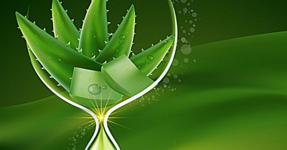 កីឡាករឆ្នើម ចាន់ វឌ្ឍនាកា