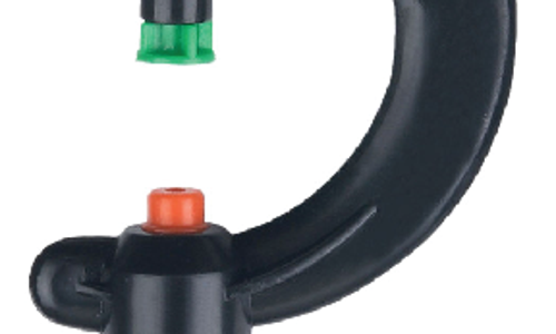 ក្បាលសាចទឹកតូច