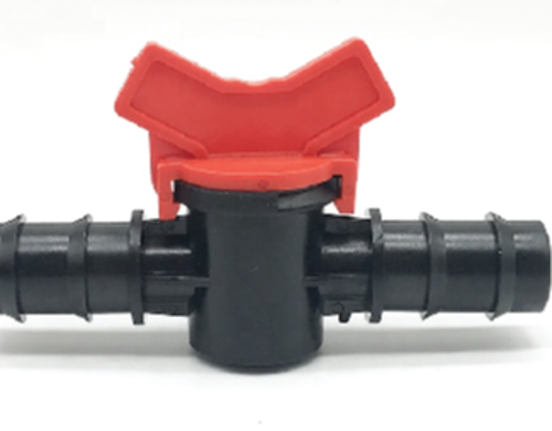 វ៉ានតូច