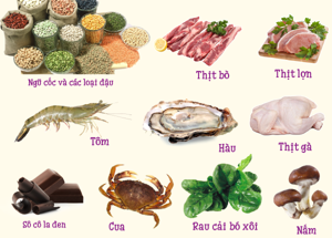 4 ក្រុមសំខាន់ៗនៃសារធាតុសម្រាប់កុមារអាយុ 1-3 ឆ្នាំ