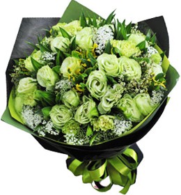 HOA CẨM CHƯỚNG - RÊU PHONG