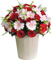 HOA LAN - YÊU ĐỜI