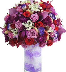 HOA CẨM CHƯỚNG - LOVE TO BE LOVED