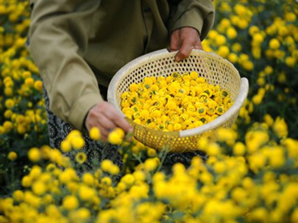    ខ. តើហេតុអ្វីបានជាអ្នកត្រូវការរចនាវែបសាយ?