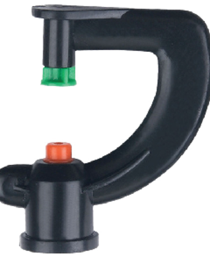 ក្បាលសាចទឹកតូច