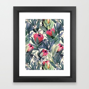 Khung Tranh Họa Phẩm Hoa Protea