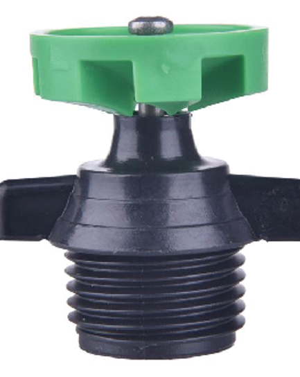 ក្បាលសាចទឹកតូច