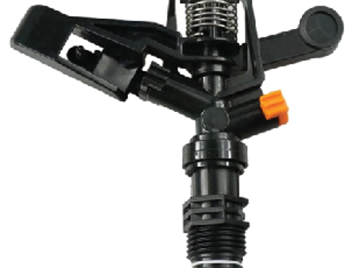 ក្បាលសាចស្រ្ពីងគ្ល័រ