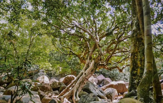 ទឹកធ្លាក់អន្លង់​ខៀវ