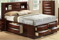 Emily Tobacco Brown Contempoary Queen Storage Bed