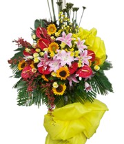 ផ្កាលីលី - ទំនុកចិត្ត