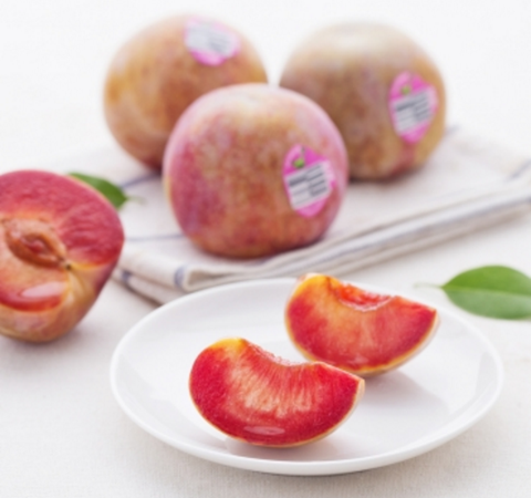 plum អាមេរិក