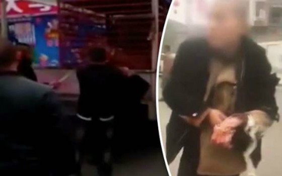 Thò tay vào chuồng vuốt hổ, người đàn ông bị cắn trọng thương